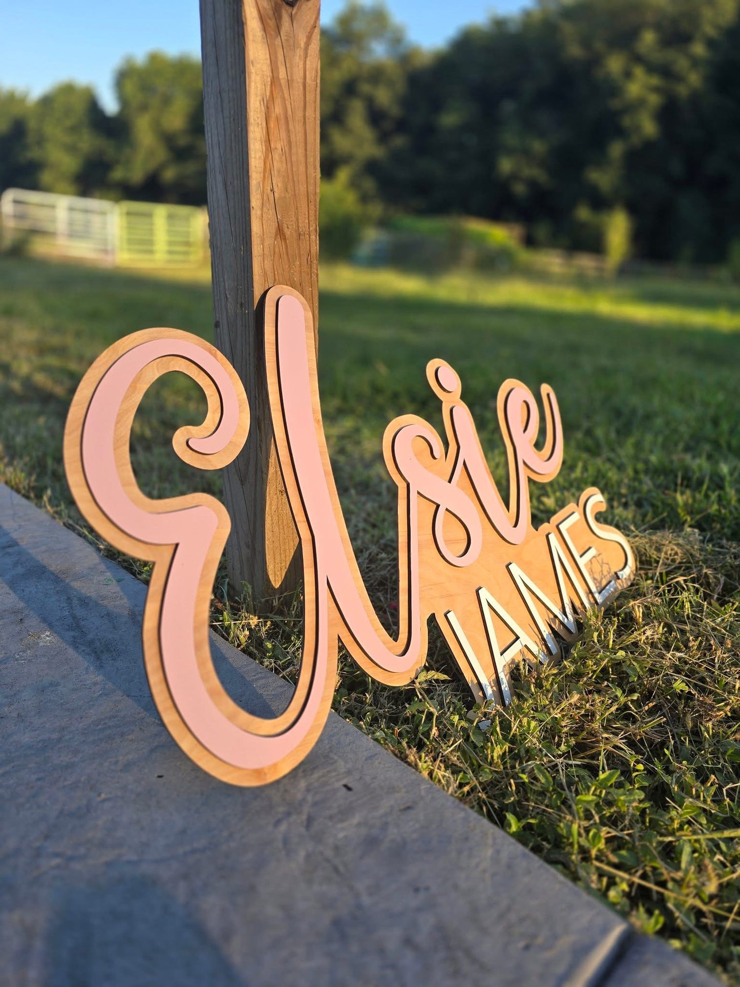 Custom Name & Logo Wall Signs