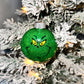 Grinch Face Ornament